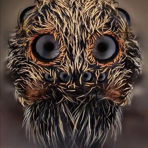 Meet your Posher, Suzanne